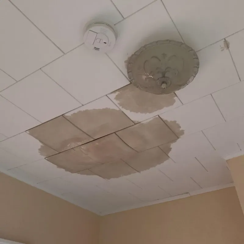 Ceiling Water Damage Repair in Fairlawn, VA
