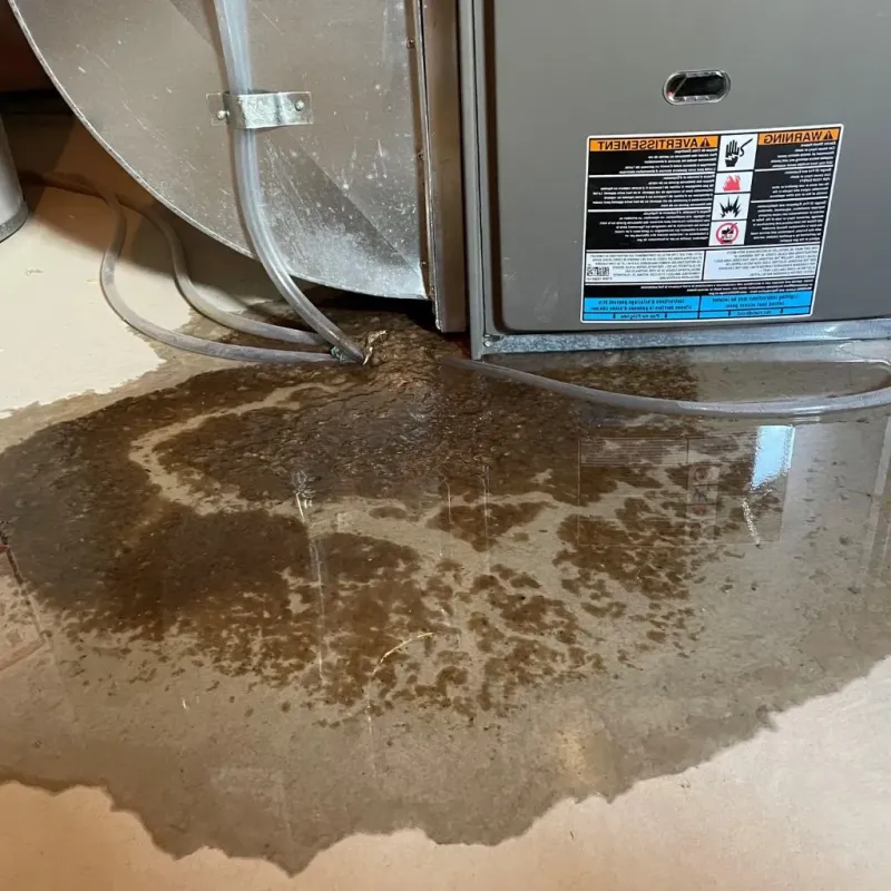 Pipe Burst and Leak Restoration in Fairlawn, VA