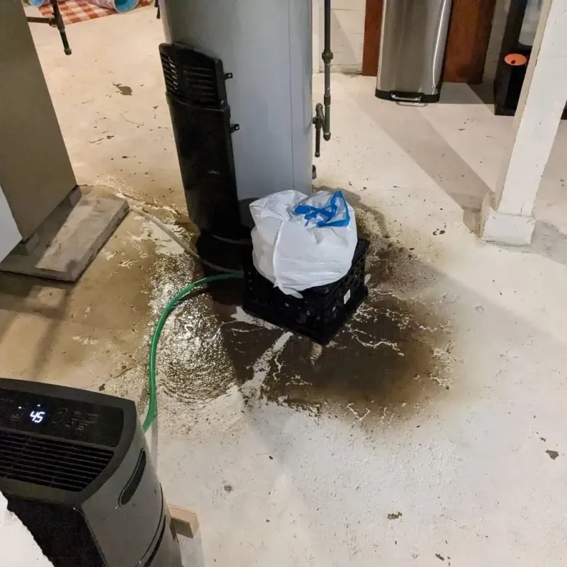 Sewage Backup Cleanup Service in Fairlawn, VA